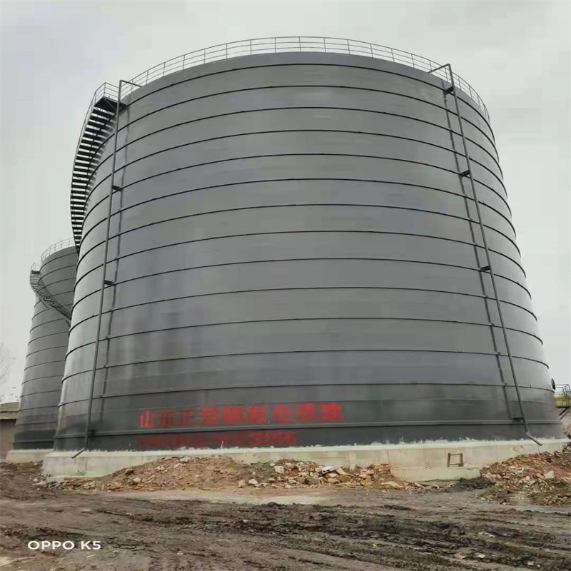 彬村山华侨农场3万吨大型钢板库