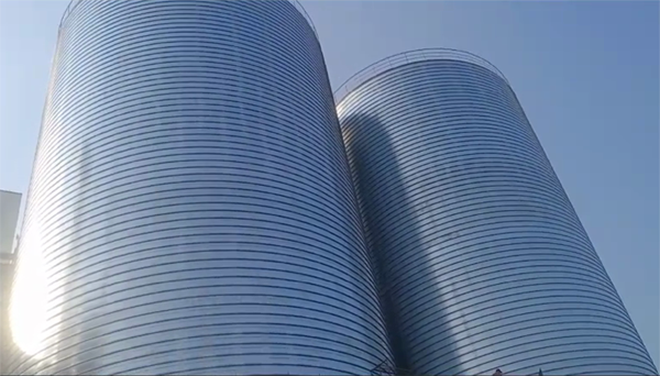 彬村山华侨农场2座混凝土高架卷板仓