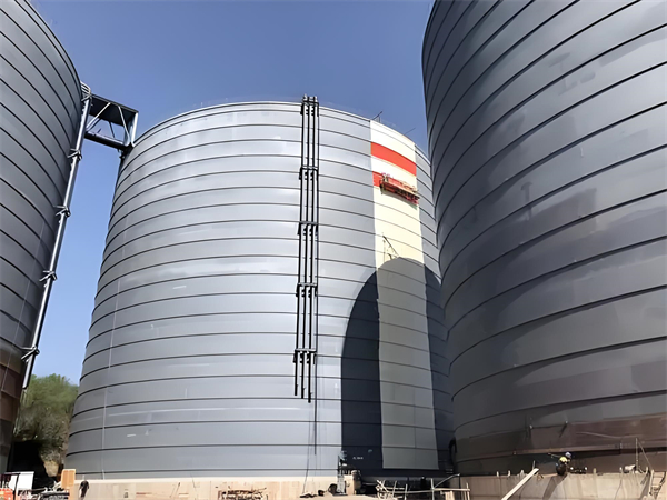 彬村山华侨农场焦粉仓